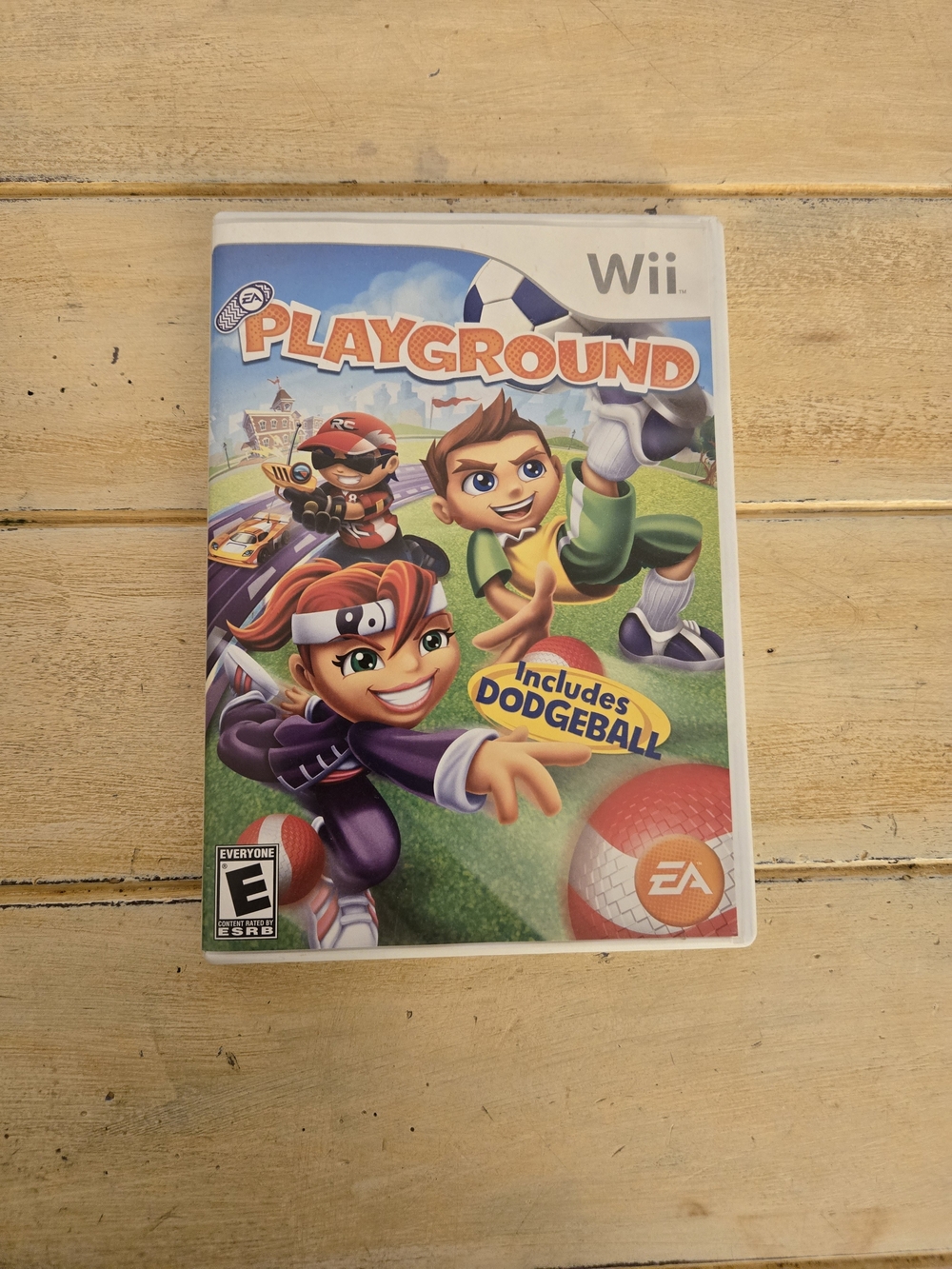 Wii Playground